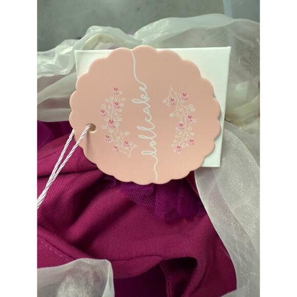 NWT Dollcake Dress Sugar Plum Tutu Leotard Set Girls Sz 7 Pink Floral Applique - Picture 5 of 15